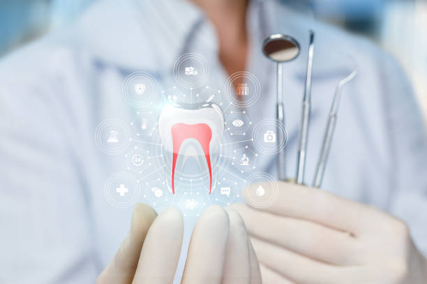 Best Preventive Dentistry  in North Palm Beach, FL